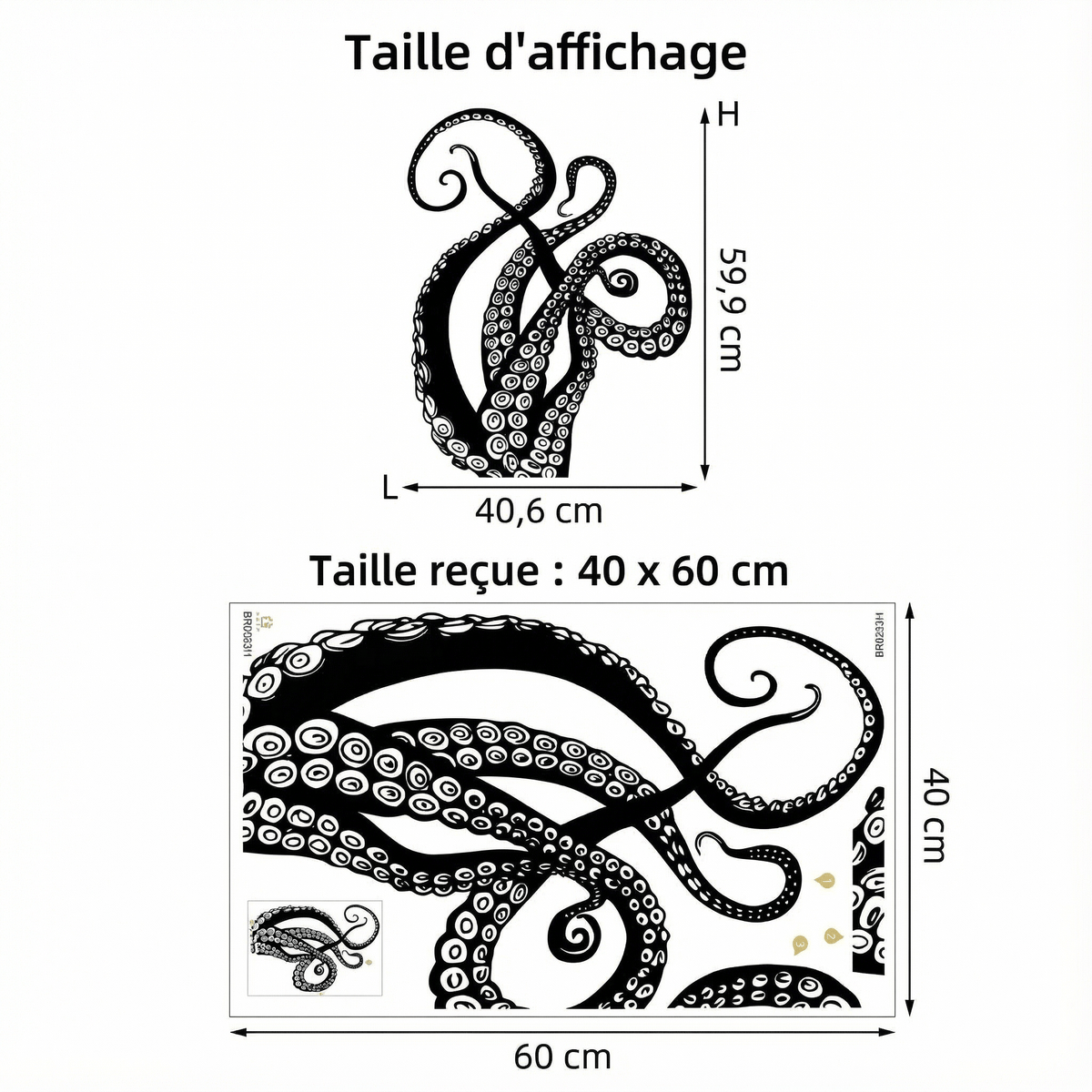 Sticker Mural Pieuvre Tentacules - dimensions