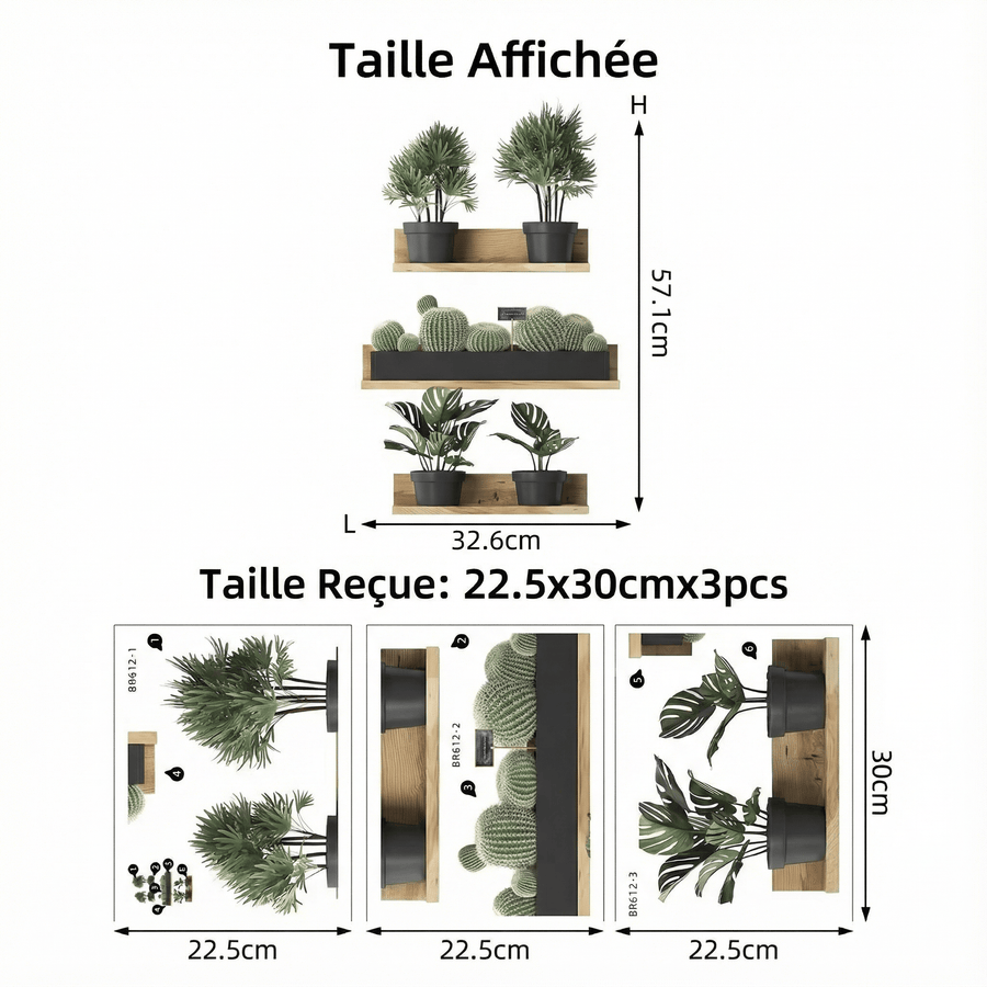 Comparaison entre la planche reçue et le motif posé : Stickers Muraux Étagères Végétales 3D