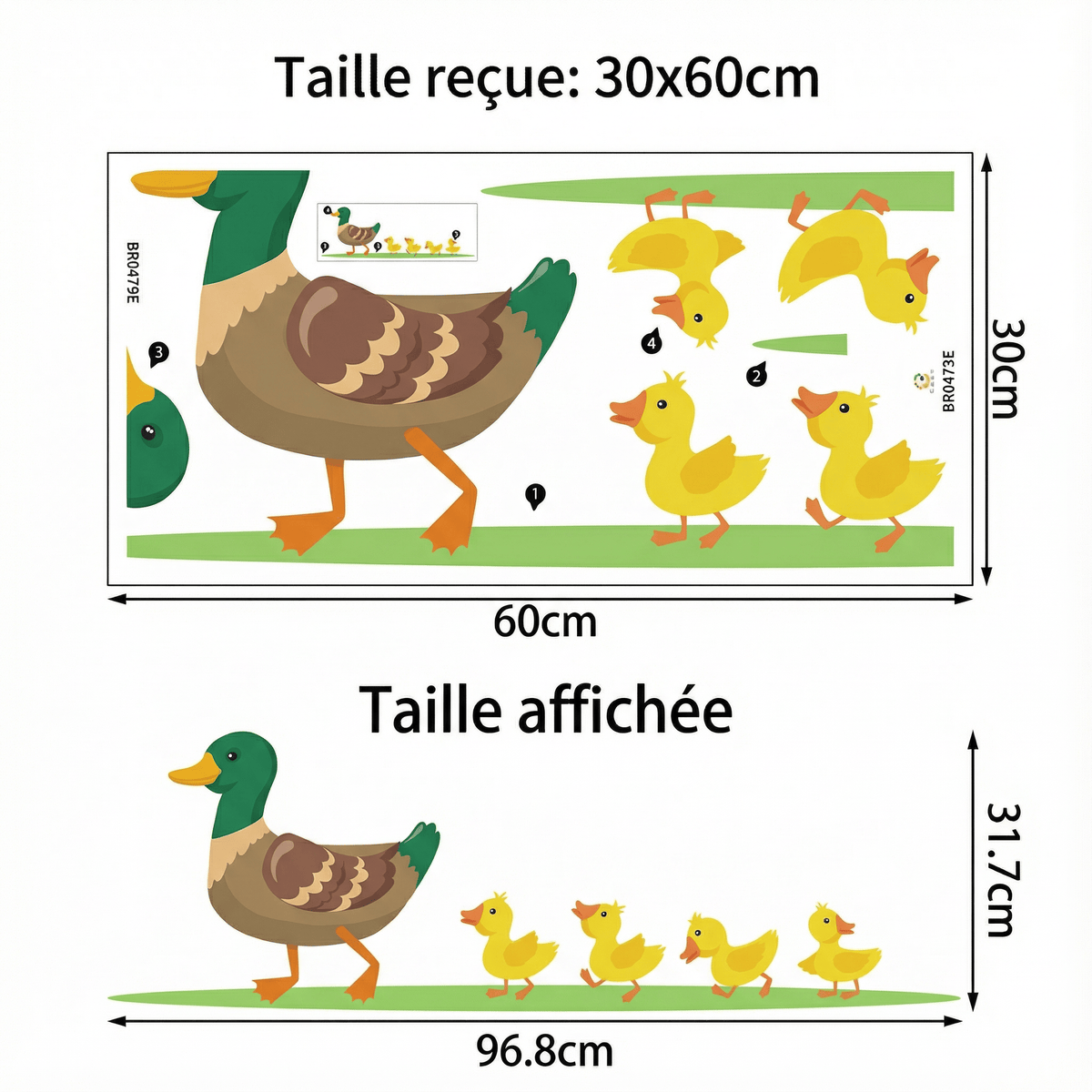 Stickers Muraux Famille Canard - dimensions