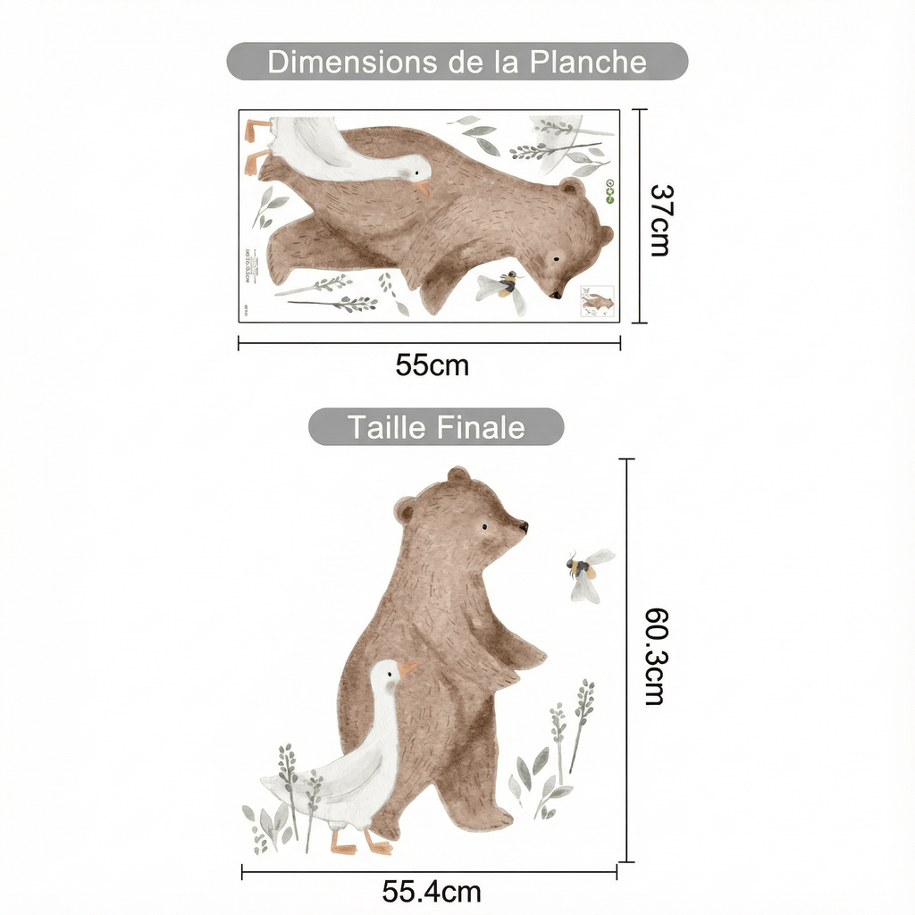 Stickers Muraux Ours Brun - dimensions