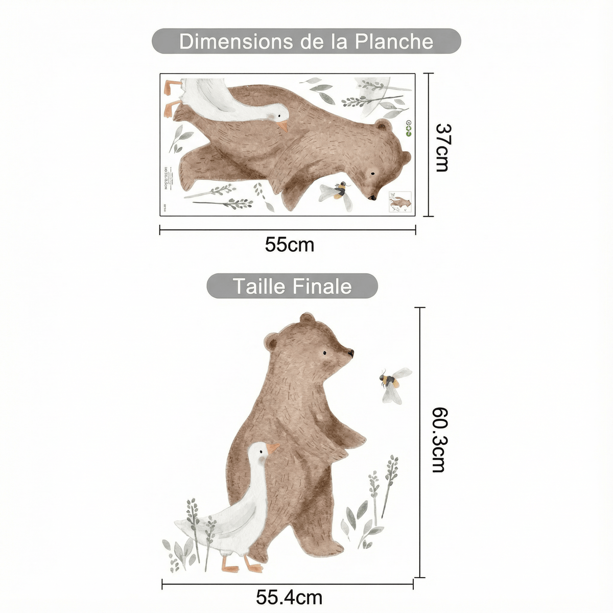 Stickers Muraux Ours Brun - dimensions