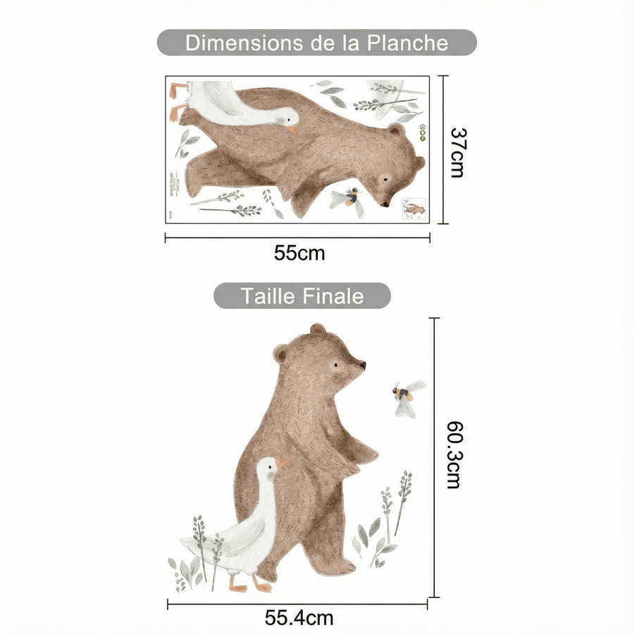 Comparaison entre la planche reçue et le motif posé : Stickers Muraux Ours Brun