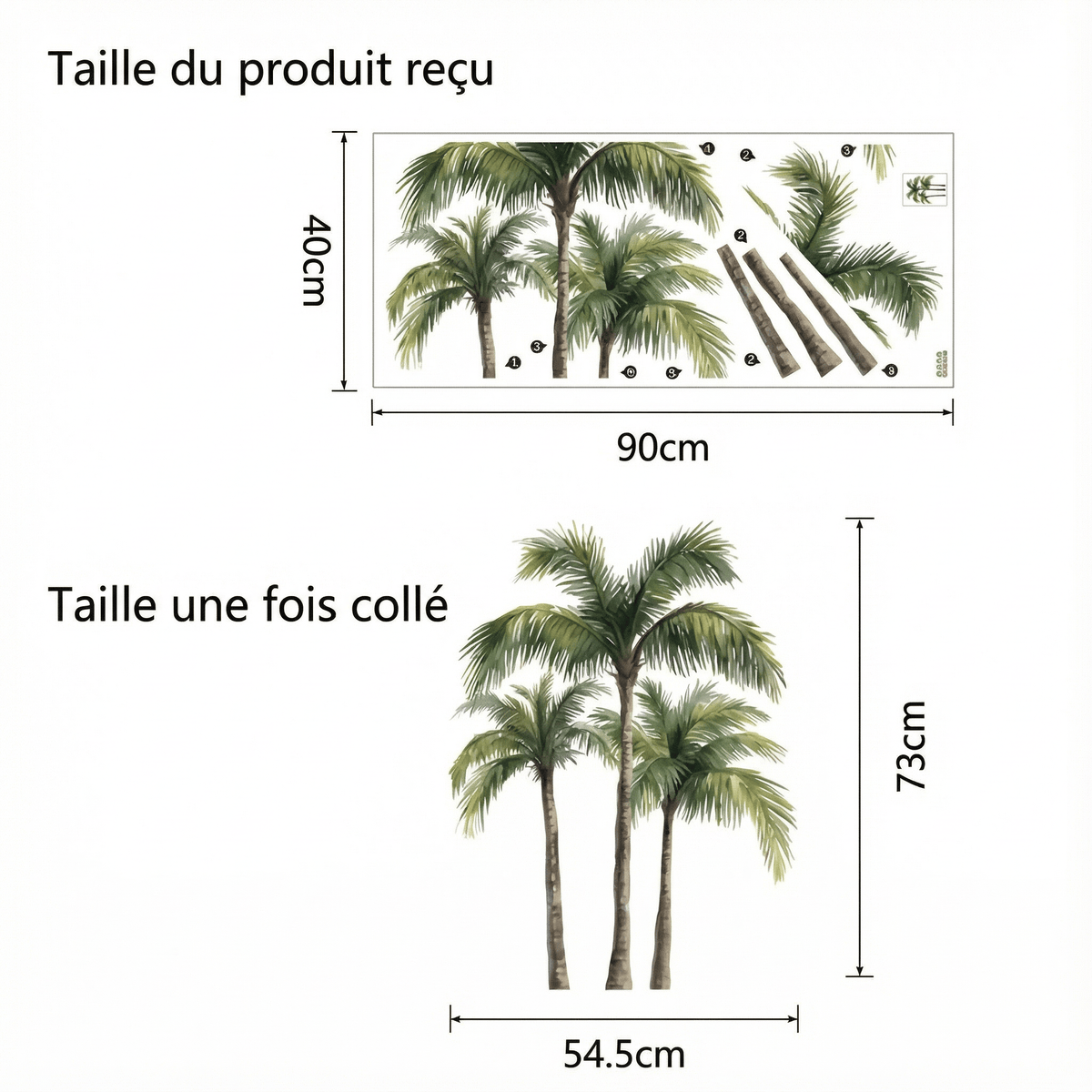 Stickers Muraux Palmier - dimensions