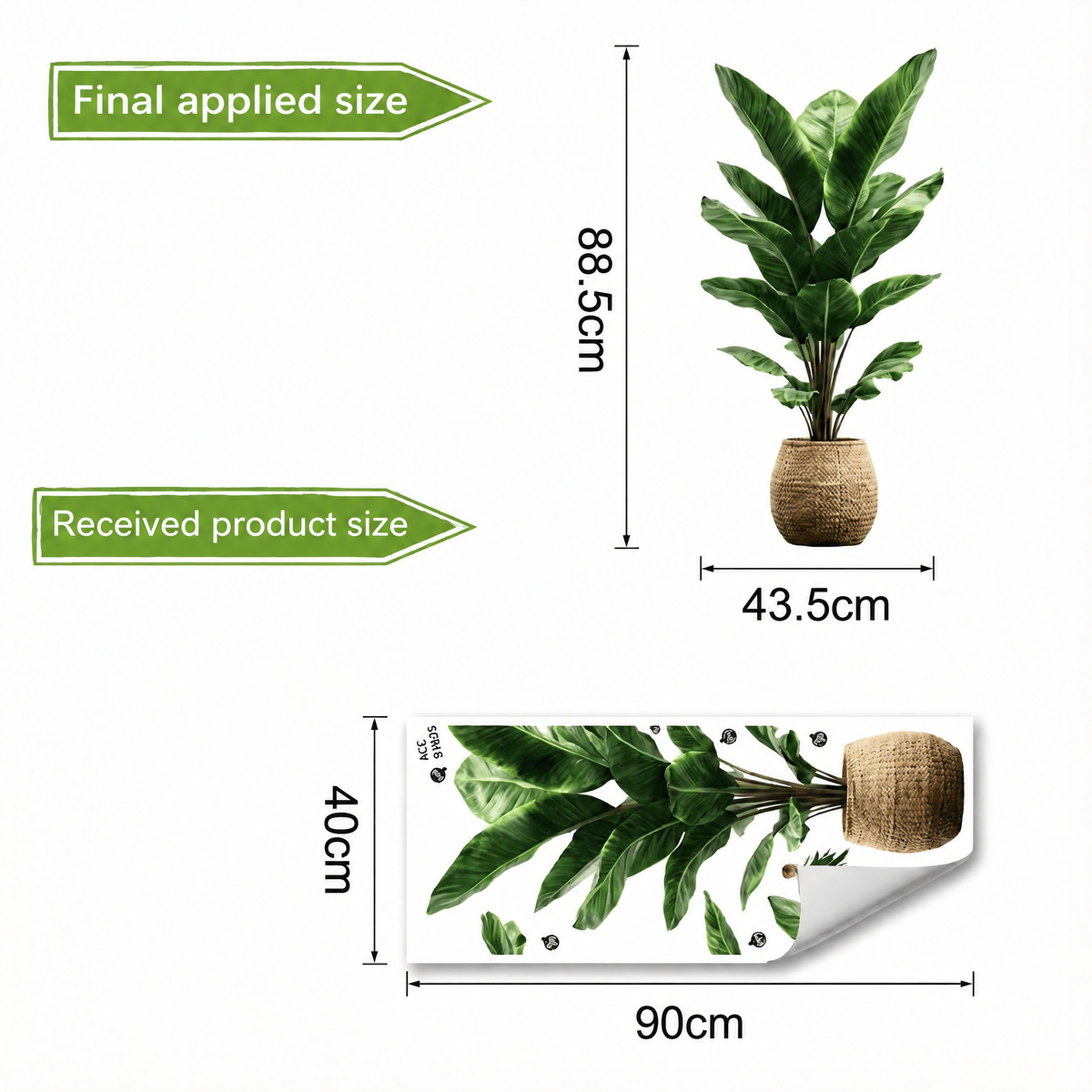 Green Potted Plant Wall Sticker - dimensions