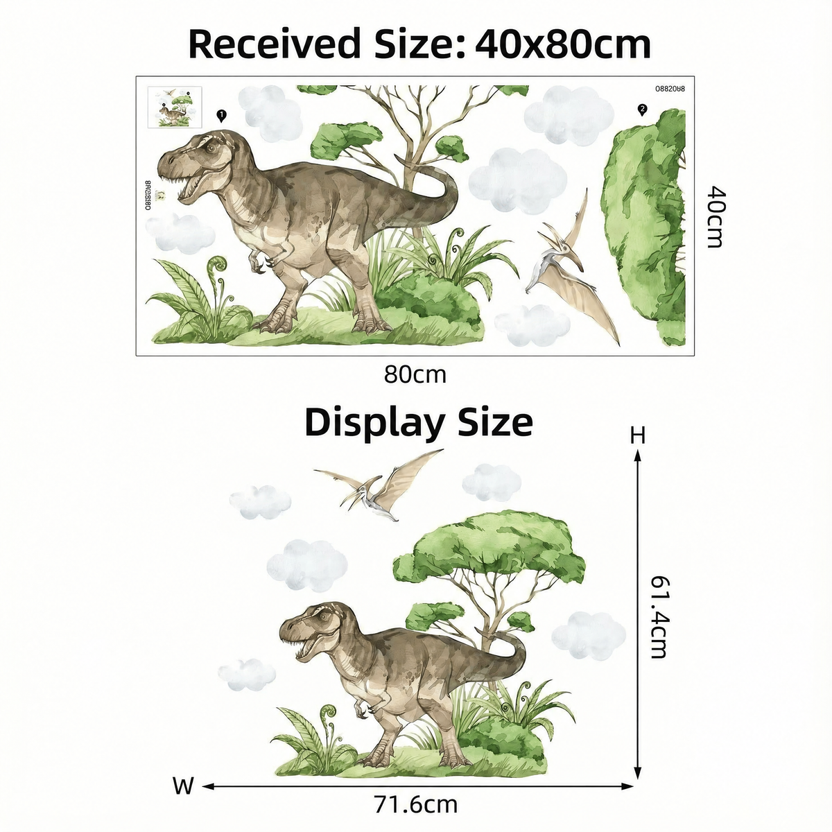T-Rex Dinosaur Wall Stickers - dimensions
