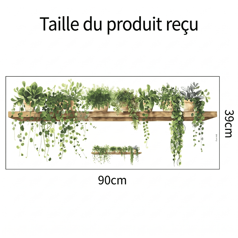 Comparaison entre la planche reçue et le motif posé : Stickers Muraux Étagère Plantes Vertes Trompe-l'Œil