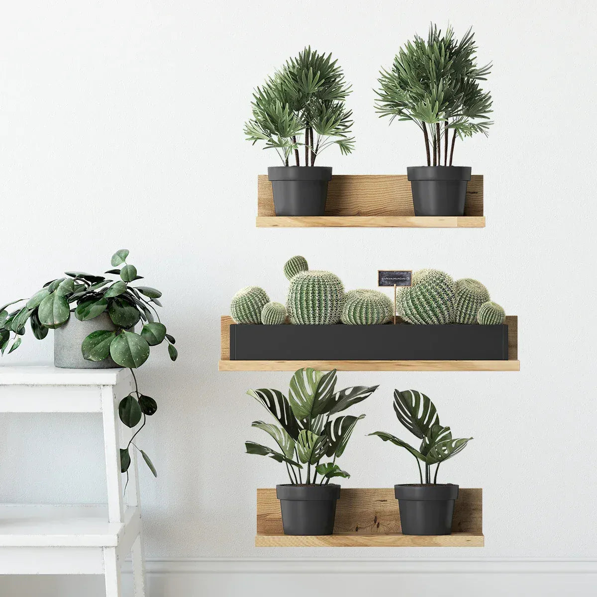 Stickers Muraux Étagères Végétales 3D