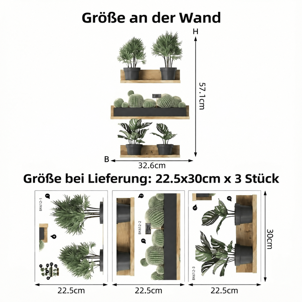 Wandtattoo Pflanzenregale in 3D-Optik - Maße