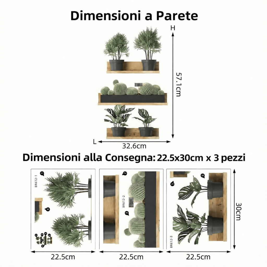 Adesivi murali mensole con piante effetto 3D - Dimensioni
