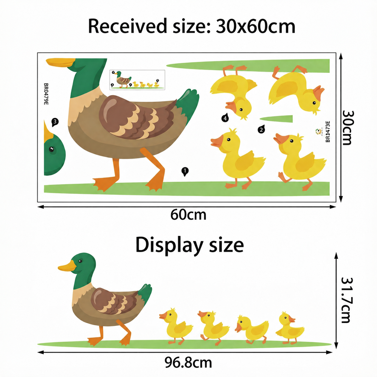 Duck Family Wall Stickers - dimensions