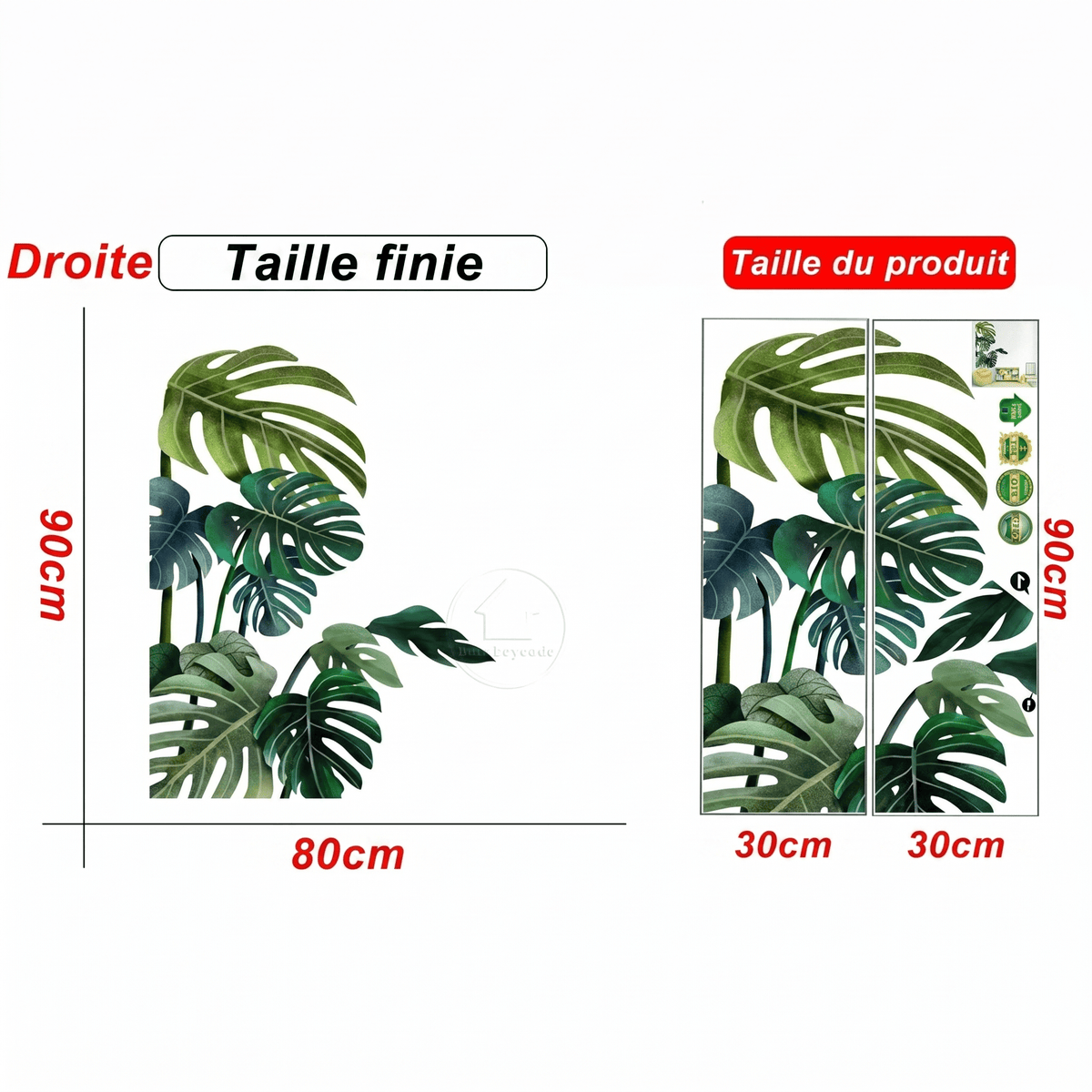 Stickers Muraux Monstera Grand Format Angle Mural