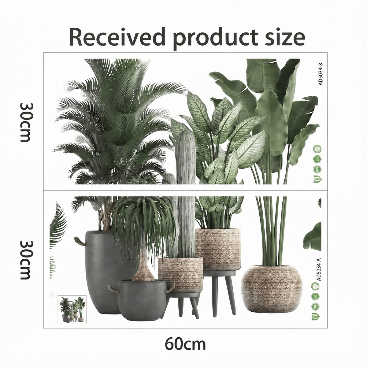 Tropical Potted Plant Wall Stickers - dimensions