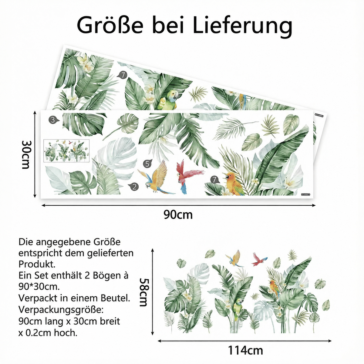 Wandtattoo Tropische Pflanzen mit Papageien - Maße
