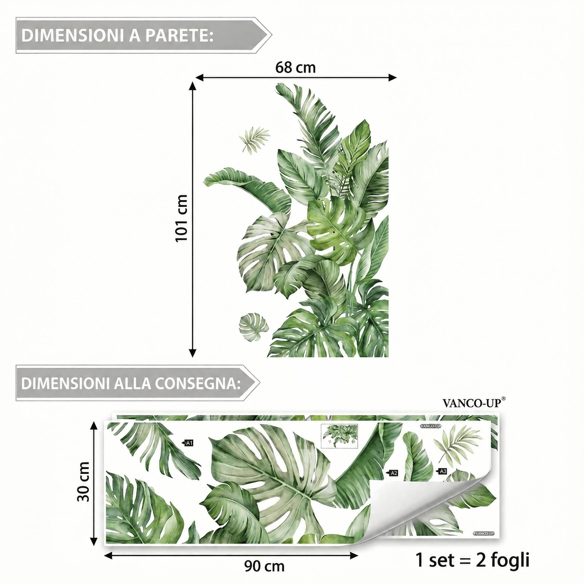 Adesivi murali vegetazione tropicale - Dimensioni